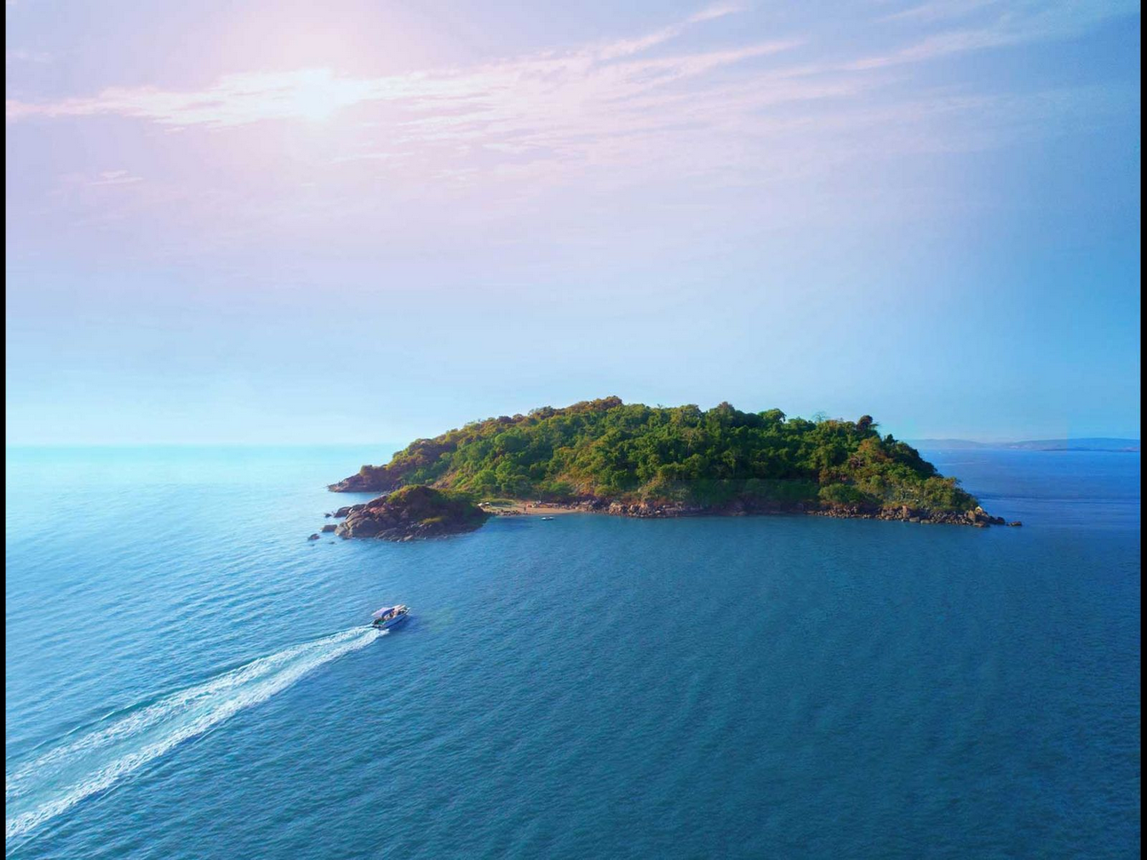 Dolphin Spotting Coastal Boat Tour