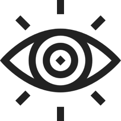 Vision